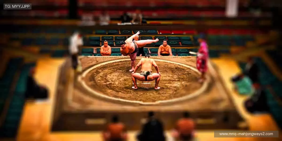 海量正版周边，让热爱触手可及！🎁⚽️🏀❤️